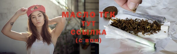 мдпв Богородск