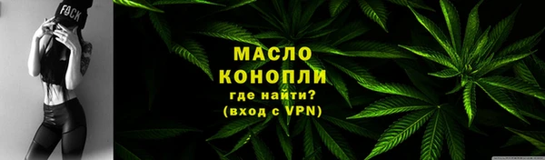 мдпв Богородск