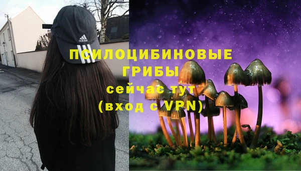 каннабис Богородицк