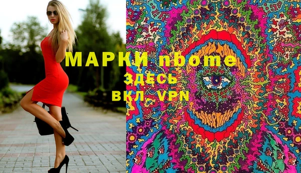 мдпв Богородск