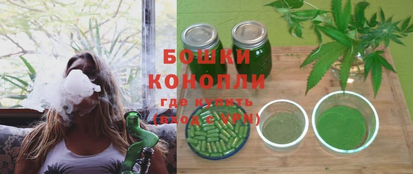 мдпв Богородск